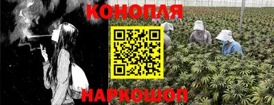 крисы Ипатово