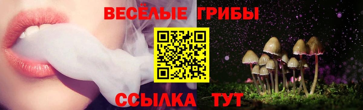 Кувандык  хочу наркоту  Псилоцибиновые грибы Magic Shrooms  Вход с VPN  Галлюциногенные грибы Psilocybe 
